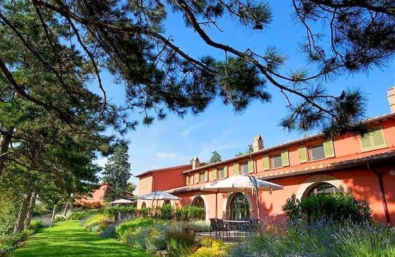 73458 i78162salvia16