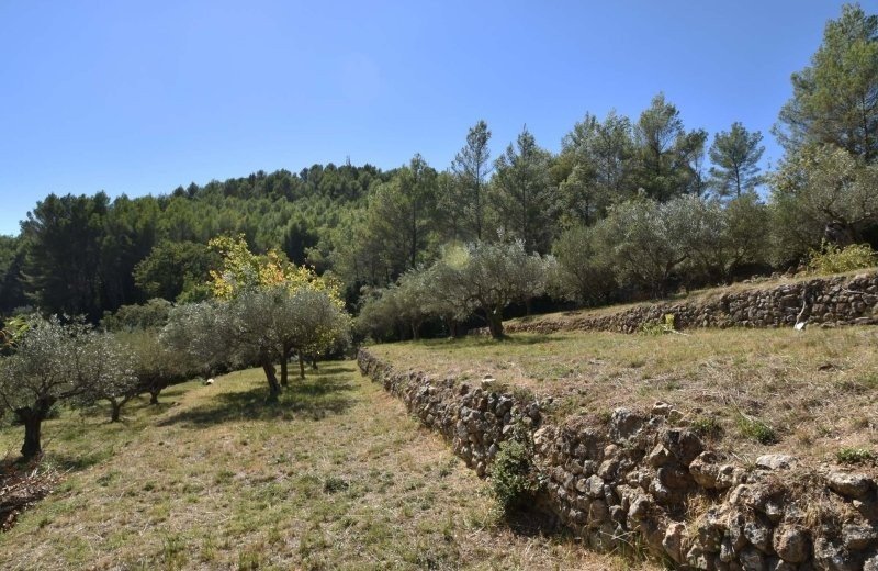 75399 f83270terreinbovenhuisolijfgaard