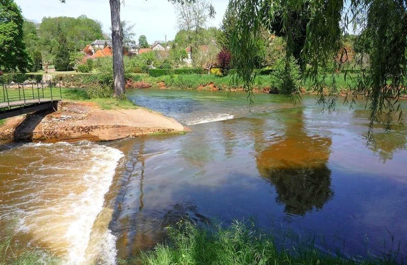 75442 f24083auvezerebijtourtoirac