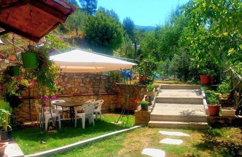 75445 i60038terras1a