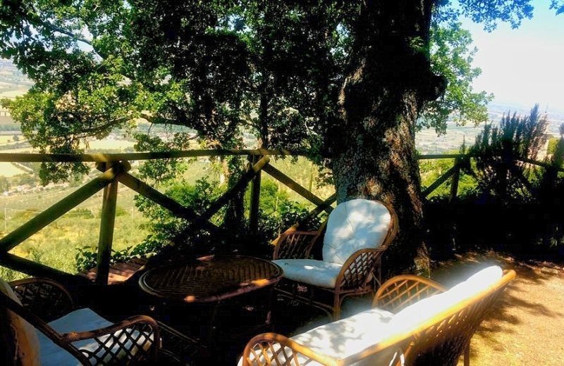 75445 i60038terras1c