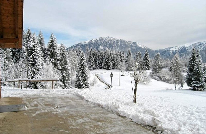 75855 i86014uitzwinter