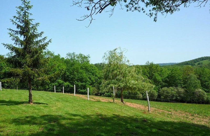 75961 f24143terrein4