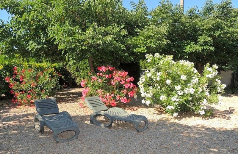 76702 f84269terrein2