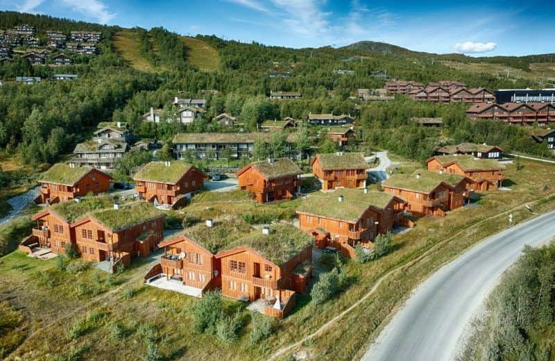 80891 utf 8 Gr C3 B8nebakkin 20ute 201