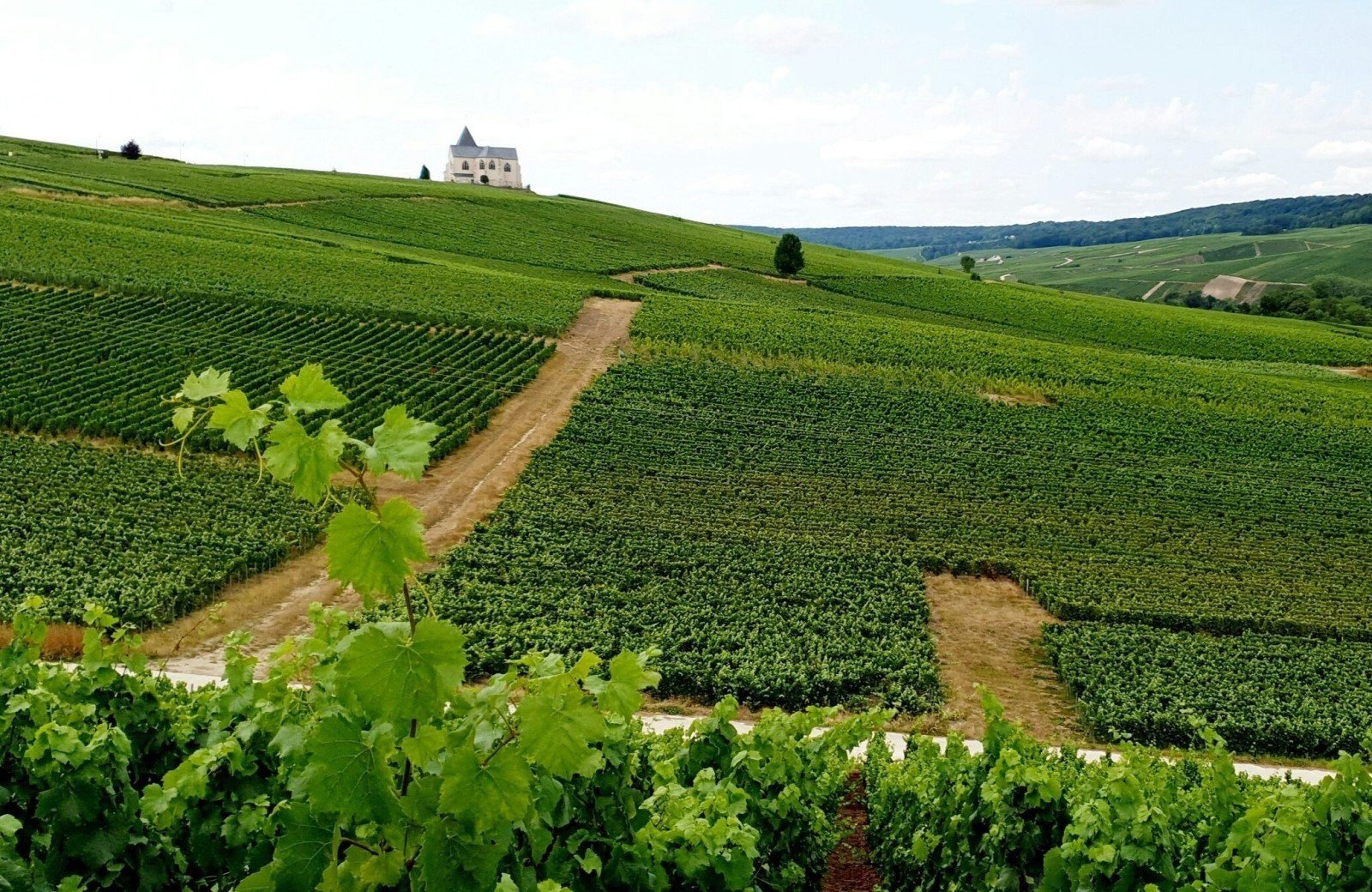 De bubbels van de Champagne-Ardennen