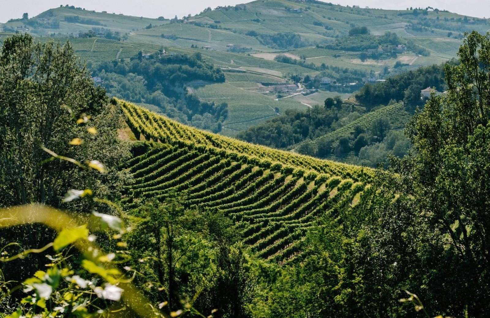 Landschap van regio Piemonte Itali&euml;